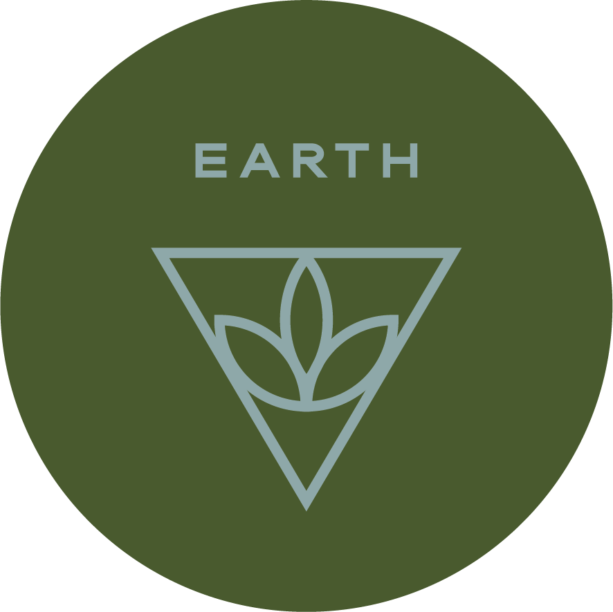 Earth Icon